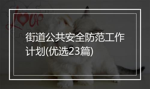 街道公共安全防范工作计划(优选23篇)