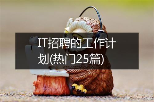 IT招聘的工作计划(热门25篇)