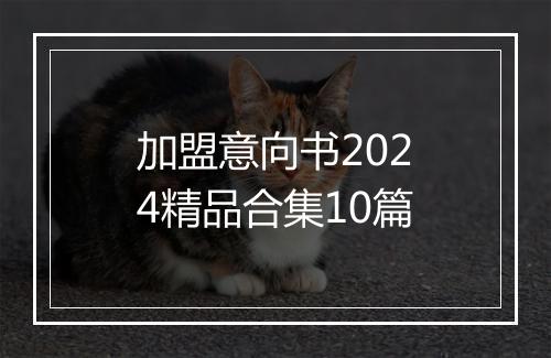 加盟意向书2024精品合集10篇
