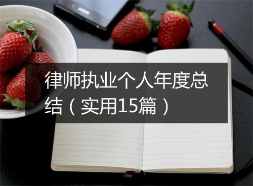 律师执业个人年度总结（实用15篇）