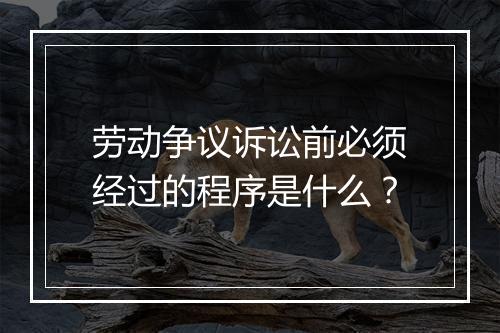 劳动争议诉讼前必须经过的程序是什么？