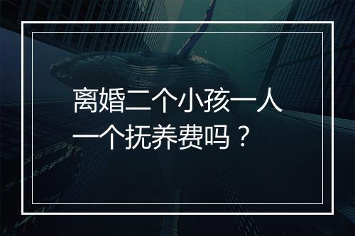 离婚二个小孩一人一个抚养费吗？
