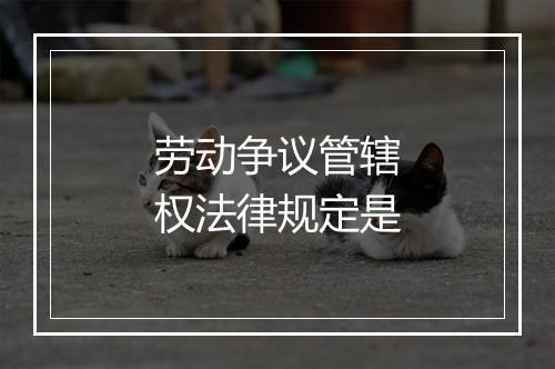 劳动争议管辖权法律规定是