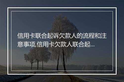 信用卡联合起诉欠款人的流程和注意事项,信用卡欠款人联合起诉流程详解