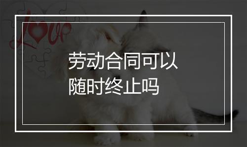 劳动合同可以随时终止吗