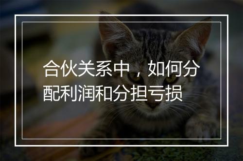 合伙关系中，如何分配利润和分担亏损