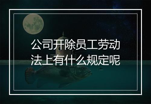 公司开除员工劳动法上有什么规定呢