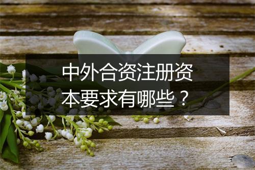 中外合资注册资本要求有哪些？