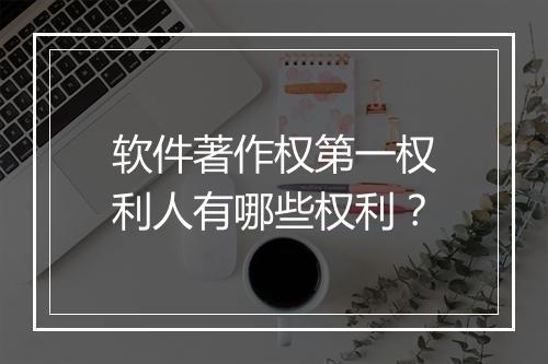 软件著作权第一权利人有哪些权利？