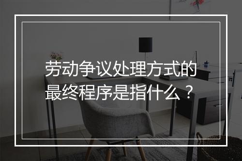 劳动争议处理方式的最终程序是指什么？