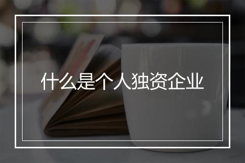 什么是个人独资企业