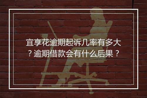 宜享花逾期起诉几率有多大？逾期借款会有什么后果？