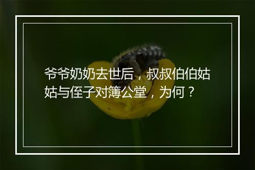 爷爷奶奶去世后，叔叔伯伯姑姑与侄子对簿公堂，为何？