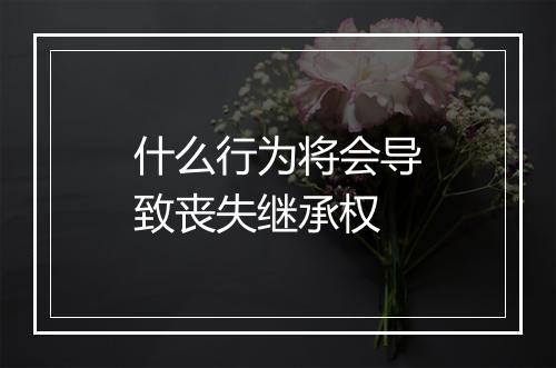 什么行为将会导致丧失继承权