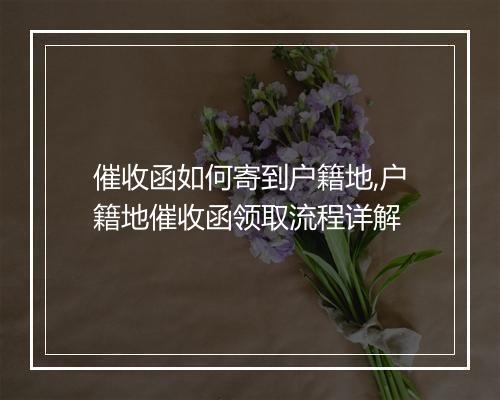 催收函如何寄到户籍地,户籍地催收函领取流程详解
