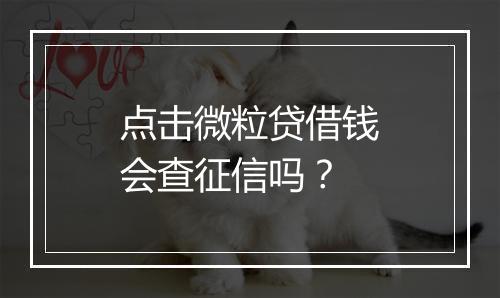 点击微粒贷借钱会查征信吗？
