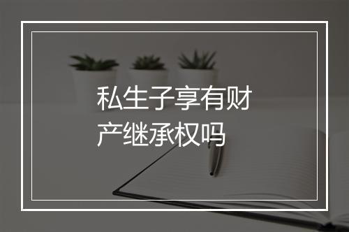私生子享有财产继承权吗