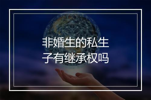 非婚生的私生子有继承权吗