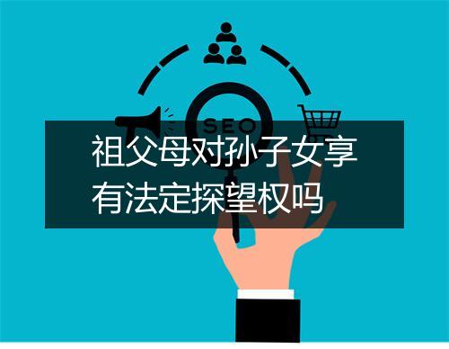 祖父母对孙子女享有法定探望权吗