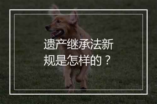 遗产继承法新规是怎样的？