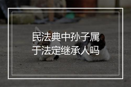 民法典中孙子属于法定继承人吗