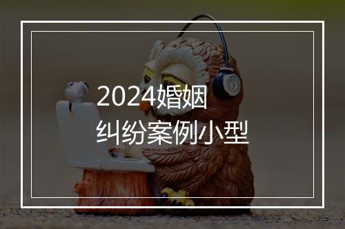 2024婚姻纠纷案例小型