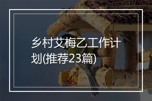 乡村艾梅乙工作计划(推荐23篇)