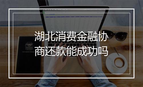 湖北消费金融协商还款能成功吗