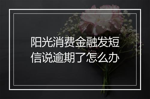 阳光消费金融发短信说逾期了怎么办