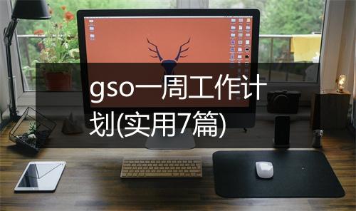 gso一周工作计划(实用7篇)