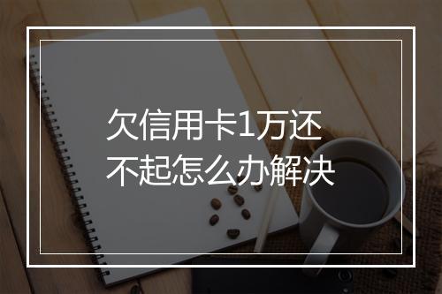 欠信用卡1万还不起怎么办解决