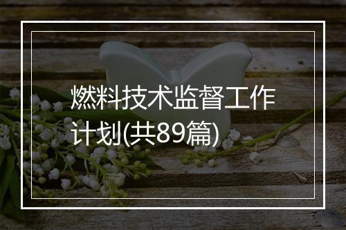 燃料技术监督工作计划(共89篇)