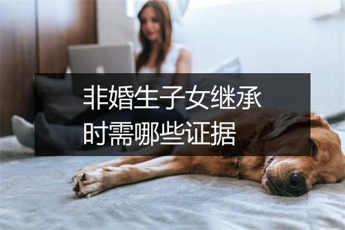 非婚生子女继承时需哪些证据
