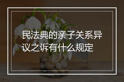 民法典的亲子关系异议之诉有什么规定