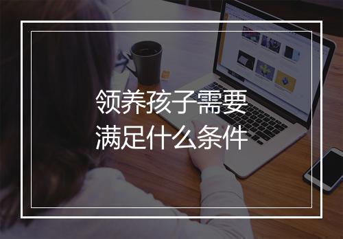领养孩子需要满足什么条件