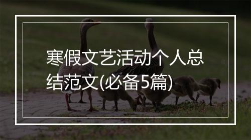 寒假文艺活动个人总结范文(必备5篇)