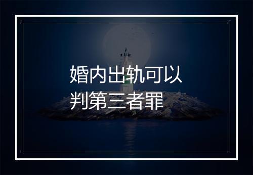 婚内出轨可以判第三者罪