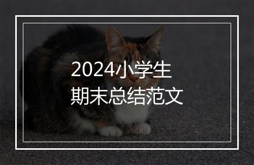 2024小学生期末总结范文