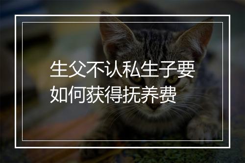 生父不认私生子要如何获得抚养费