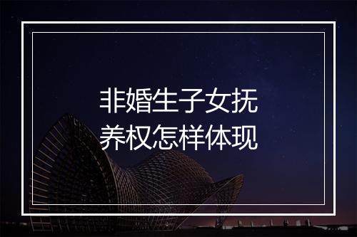 非婚生子女抚养权怎样体现