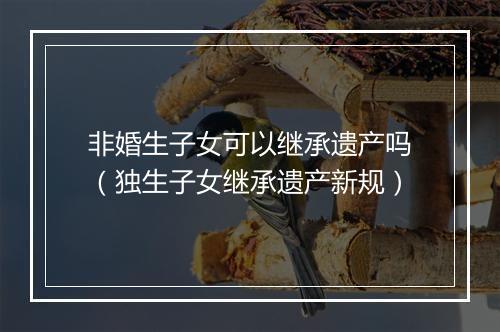 非婚生子女可以继承遗产吗（独生子女继承遗产新规）