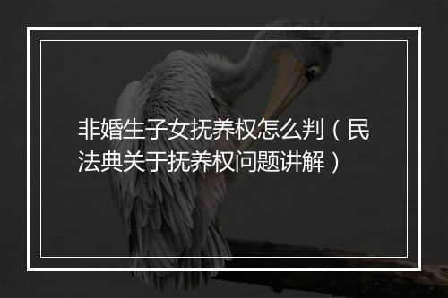 非婚生子女抚养权怎么判（民法典关于抚养权问题讲解）