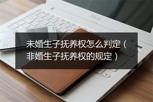 未婚生子抚养权怎么判定（非婚生子抚养权的规定）
