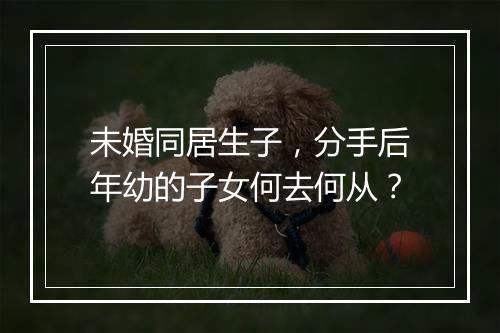 未婚同居生子，分手后年幼的子女何去何从？