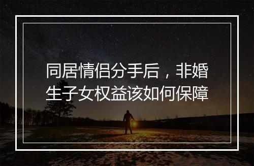 同居情侣分手后，非婚生子女权益该如何保障