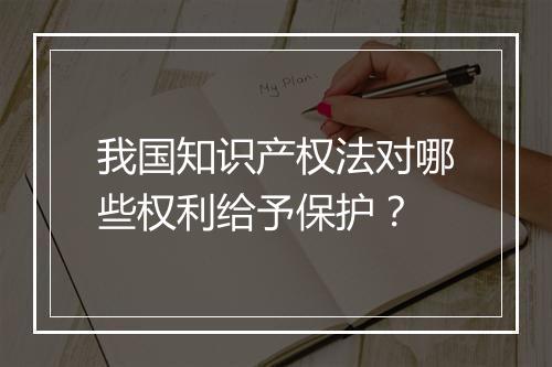我国知识产权法对哪些权利给予保护？