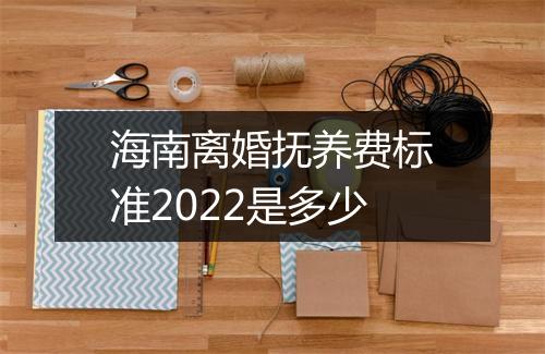 海南离婚抚养费标准2022是多少
