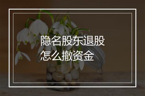 隐名股东退股怎么撤资金
