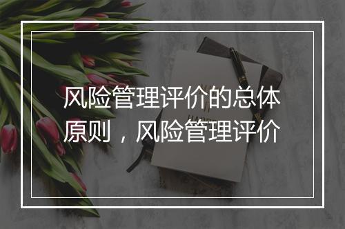 风险管理评价的总体原则，风险管理评价