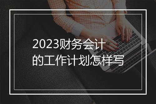 2023财务会计的工作计划怎样写
